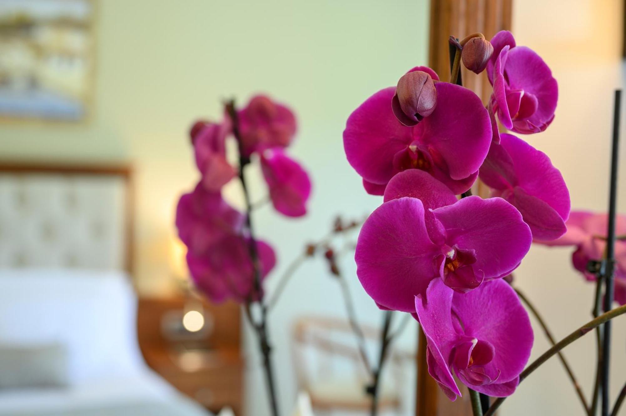 Vantaris Palace Paralia Kourna Екстер'єр фото